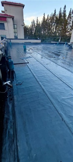 全國專業房屋滲水漏水維修公司 南京防水工程服務解析